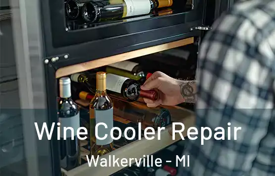  Wine Cooler Repair Walkerville - MI