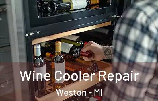  Wine Cooler Repair Weston - MI
