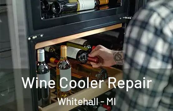  Wine Cooler Repair Whitehall - MI